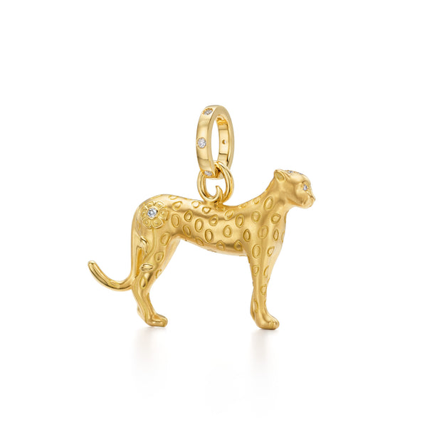 P31858-CHEETAMD