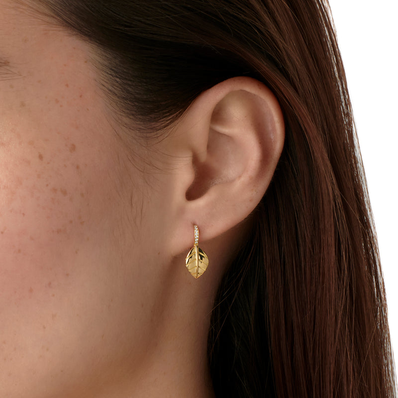 18K Arcadia Earrings